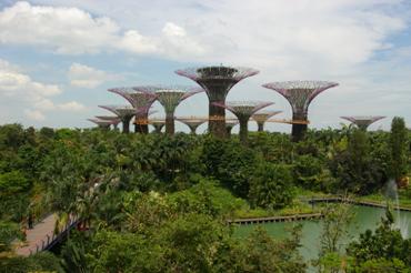 Gardens By the Bay